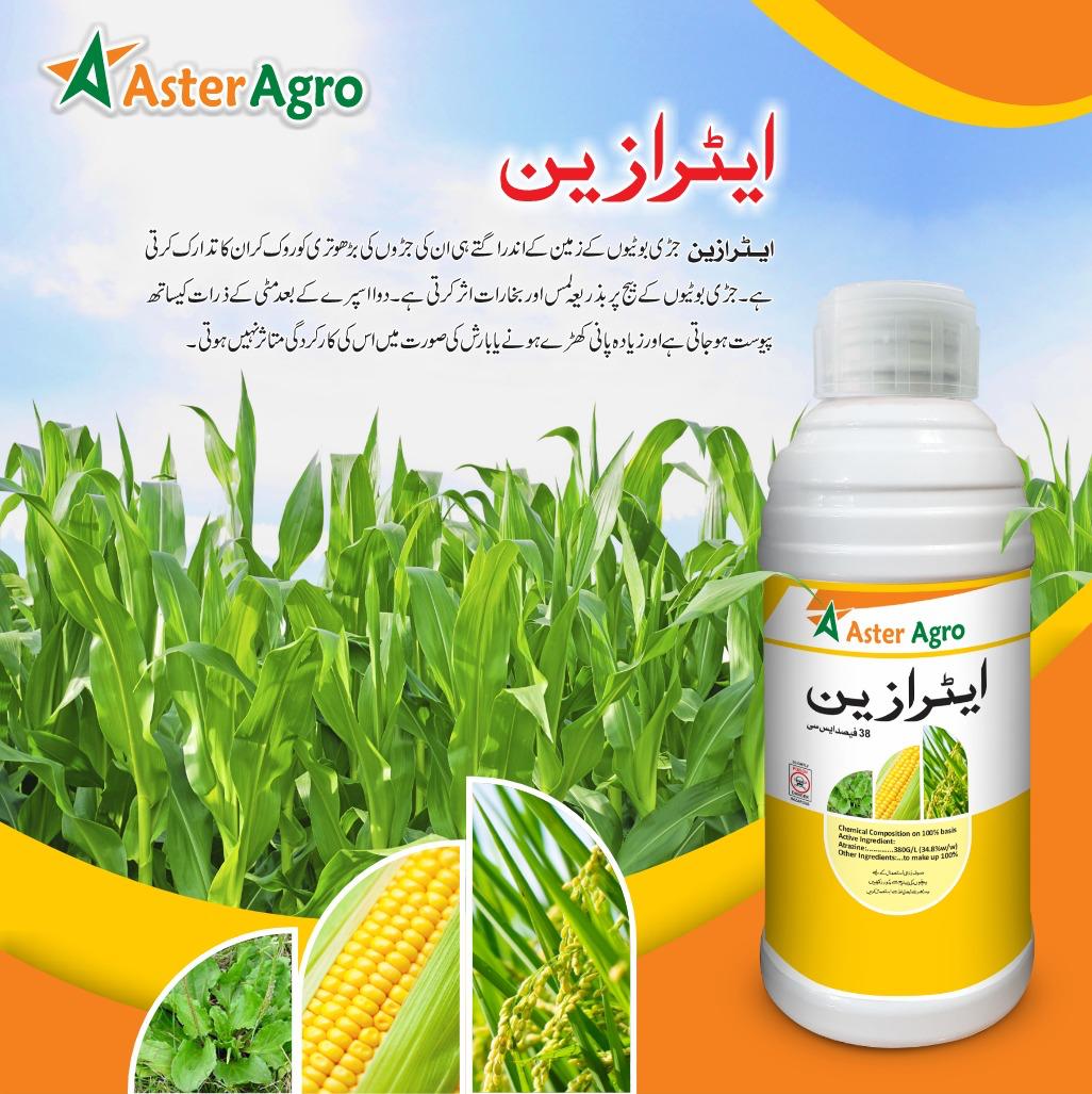 Atrazin Herbicide