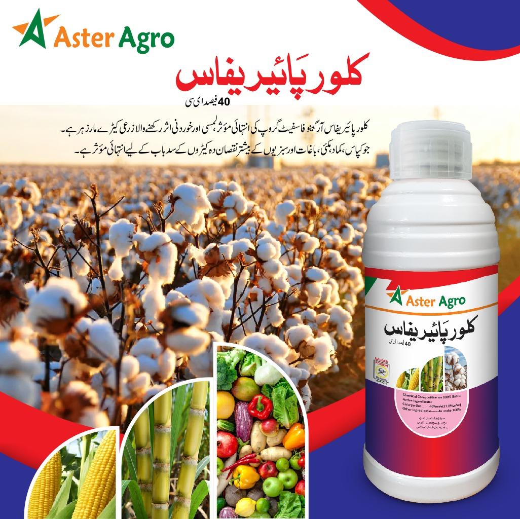 Chlorpyriphos Insecticide