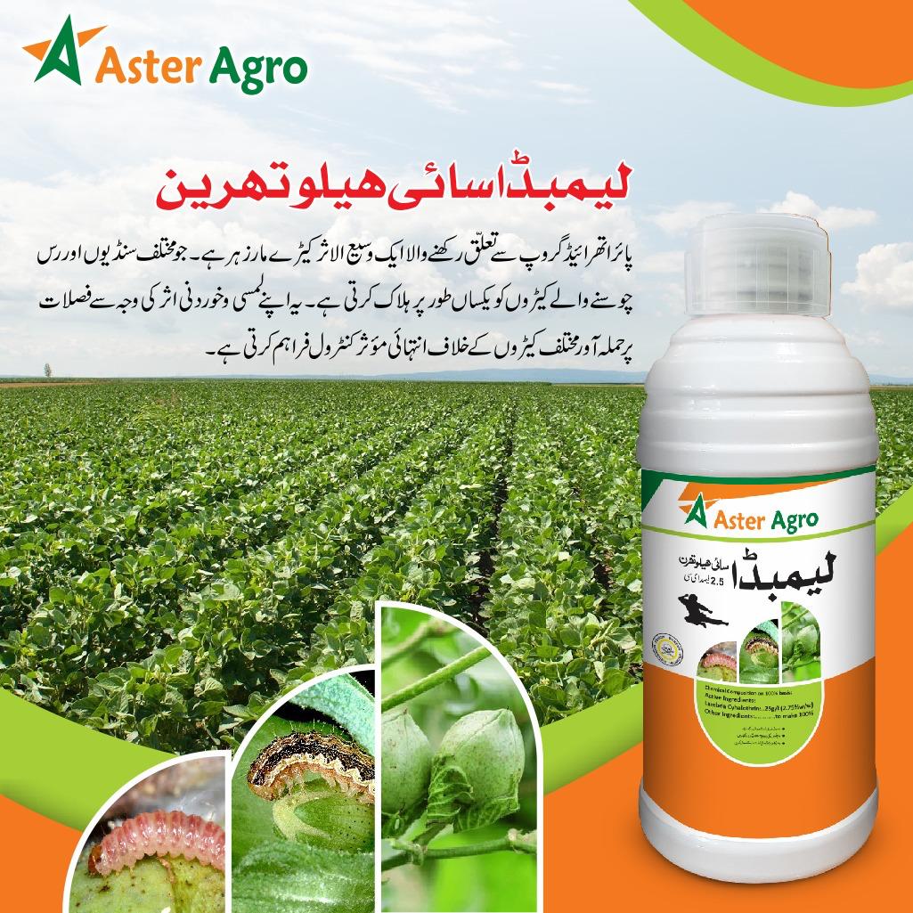 Growth Promoter